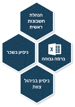 כוורת שמתארת מורכבות משרת הנהלת חשבונות להשמה: הנהלת חשבונות ראשית, אקסל ברמה גבוהה, ניסיון בשכר, ניסיון בניהול צוות