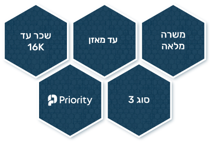 כוורת שמתארת מורכבות משרת הנהלת חשבונות להשמה: משרה מלאה, עד מאזן, שכר עד 16K, סוג 3, Priority