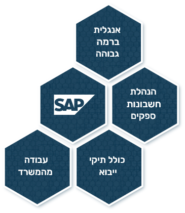 כוורת שמתארת מורכבות משרת הנהלת חשבונות להשמה: אנגלית ברמה גבוהה, הנהלת חשבונות ספקים, SAP, כולל תיקי ייבוא, עבודה מהמשרד